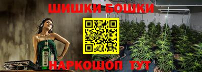 бошки Можга