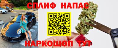 сатива Моздок
