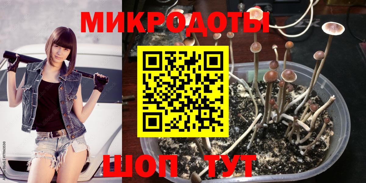 Галлюциногенные грибы ЛСД Вятские Поляны